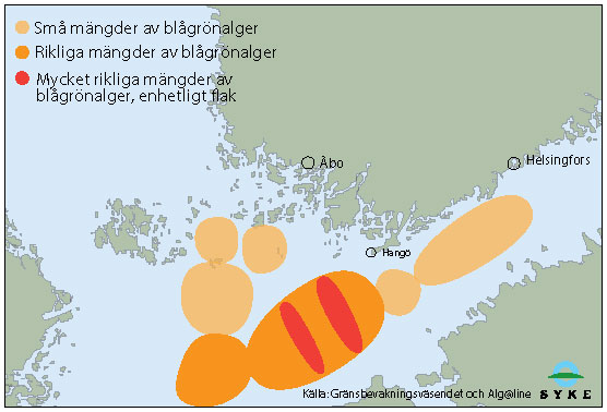 Karta över ytansamlingar av blågrönalger